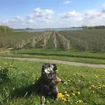 Apartman Wohnen Im Alten Land *