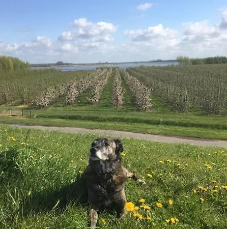 Appartamento Wohnen Im Alten Land *